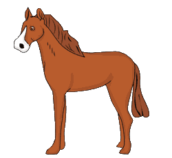 Caballo